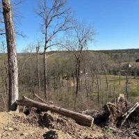 Libby Road Acreage images 5