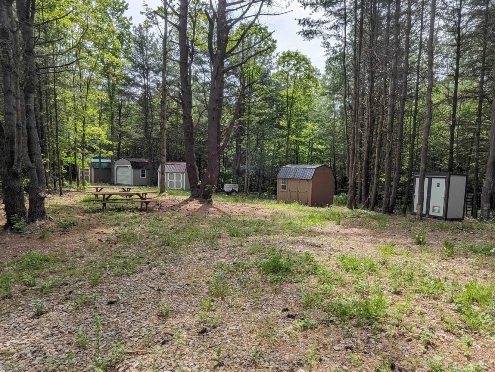 16 acres Recreational Retreat with Cabins and Pond in Woodhull NY Black Ash Rd featured image