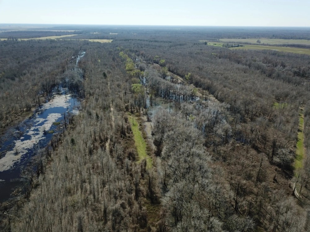LA - Concordia 561 acres - featured image