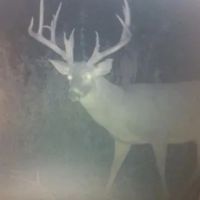 LA - Concordia 561 acres - images 2