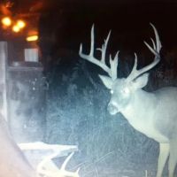 LA - Concordia 561 acres - images 3