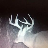 LA - Concordia 561 acres - images 4