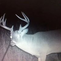 LA - Concordia 561 acres - images 5