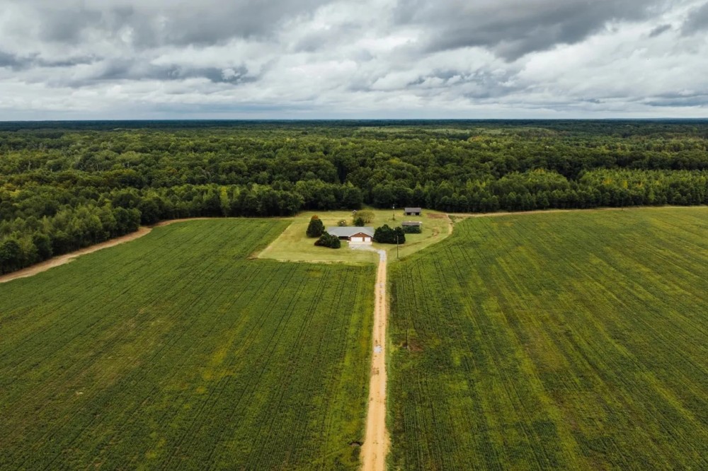 176.18 Acres with a Home in Leflore County MS featured image