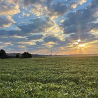 176.18 Acres with a Home in Leflore County MS images 4