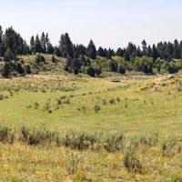 Spring Creek Ranch images 5