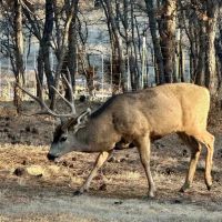 Santillanes Creek Ranch images 2