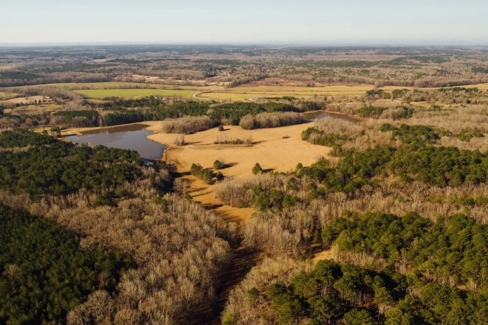 354 Acres with a Camp in Yalobusha County MS featured image