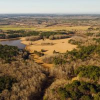 354 Acres with a Camp in Yalobusha County MS images 1