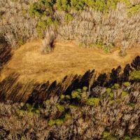 354 Acres with a Camp in Yalobusha County MS images 4