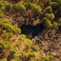 354 Acres with a Camp in Yalobusha County MS images 5