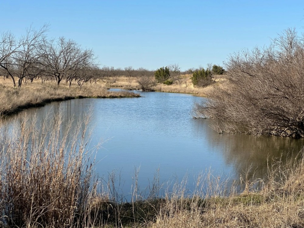 2240 - Acres….Hog Creek House Elevation Hunting Much more featured image