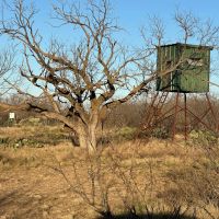 2240 - Acres….Hog Creek House Elevation Hunting Much more images 2