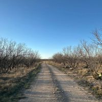 2240 - Acres….Hog Creek House Elevation Hunting Much more images 3