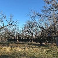 2240 - Acres….Hog Creek House Elevation Hunting Much more images 4