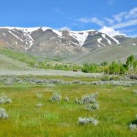 Cottonwood Ranch