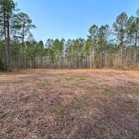 8.8 Acres of Timber and Hunting Land in Greensville County VA