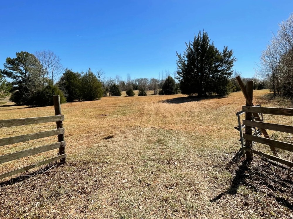 - 43.02 Acres on Old Hundred Road featured image