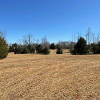 - 43.02 Acres on Old Hundred Road images 4