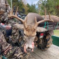 LA - Rapides 156 acres - images 3