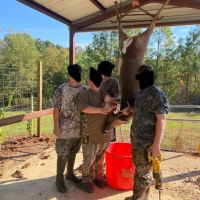 LA - Rapides 156 acres - images 4