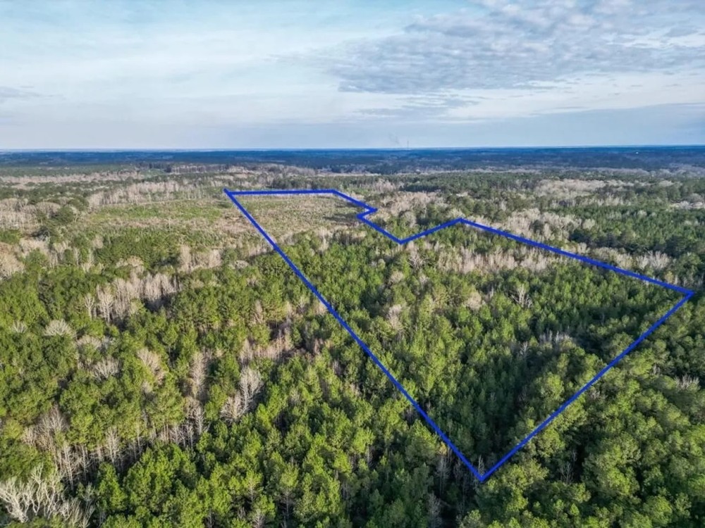 Land for Sale in Amite County MS featured image