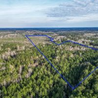 Land for Sale in Amite County MS