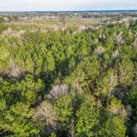 Land for Sale in Amite County MS images 5