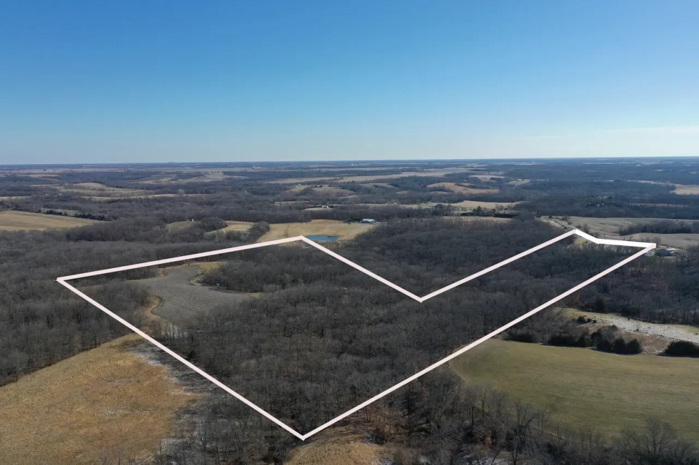 55 acres m l - Van Buren County featured image