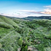 Buffalo K Ranch images 4