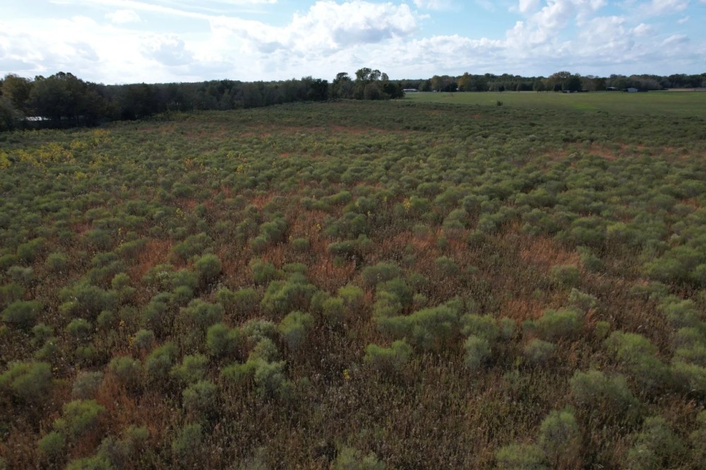 108 Acres in Franklin Parish LA featured image