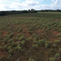 108 Acres in Franklin Parish LA