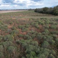 108 Acres in Franklin Parish LA images 2