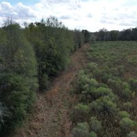 108 Acres in Franklin Parish LA images 3