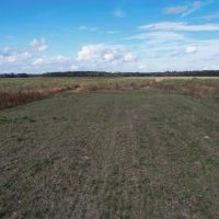 108 Acres in Franklin Parish LA images 4