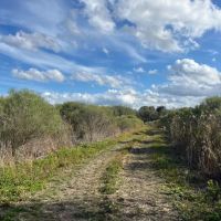 108 Acres in Franklin Parish LA images 5
