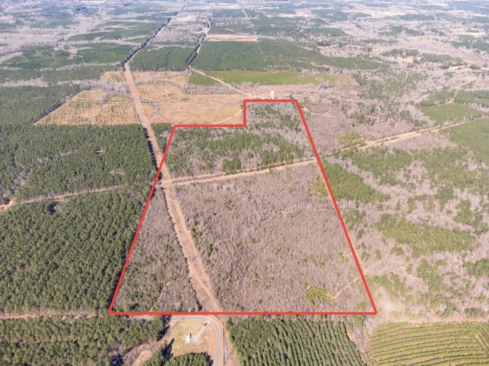 Woodville 101 - SW Lincoln Parish Timber Tract featured image