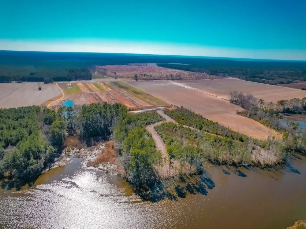 76.19 ACRES OF WATERFRONT AGRICULTURAL HUNTING RECREATIONAL AND RESIDENTIAL LAND FOR SALE IN ACCOMACK COUNTY VA featured image
