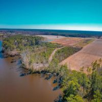 76.19 ACRES OF WATERFRONT AGRICULTURAL HUNTING RECREATIONAL AND RESIDENTIAL LAND FOR SALE IN ACCOMACK COUNTY VA images 2
