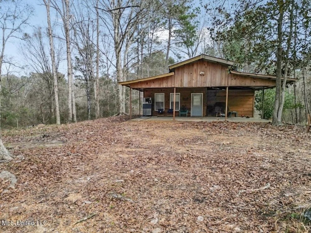 20 Acres and Cabin Adjoining Homochitto National Forest featured image