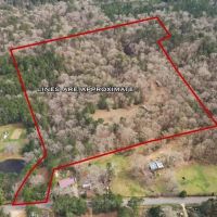 20 Acres and Cabin Adjoining Homochitto National Forest images 2