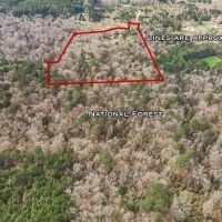 20 Acres and Cabin Adjoining Homochitto National Forest images 3