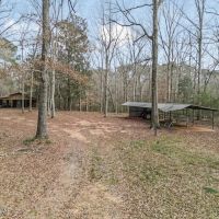 20 Acres and Cabin Adjoining Homochitto National Forest images 5
