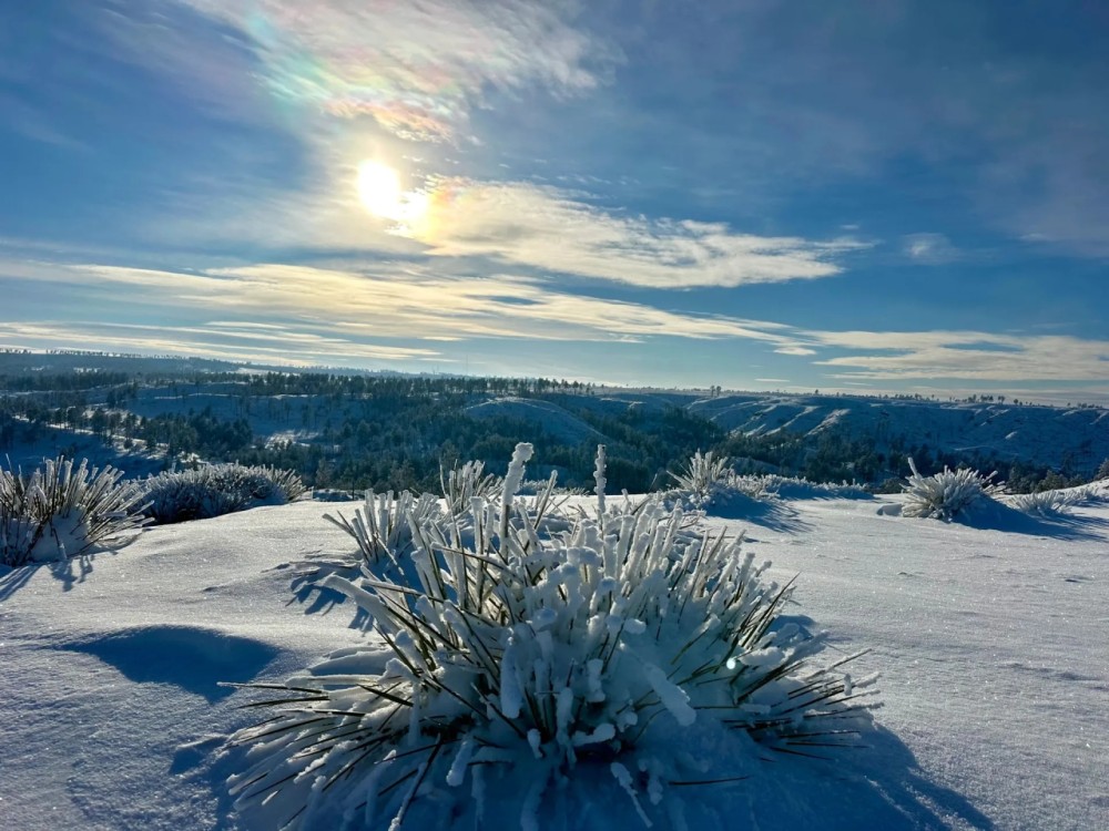 Deadhorse Creek Ranch featured image
