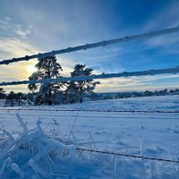 Deadhorse Creek Ranch images 4