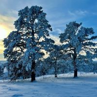 Deadhorse Creek Ranch images 5