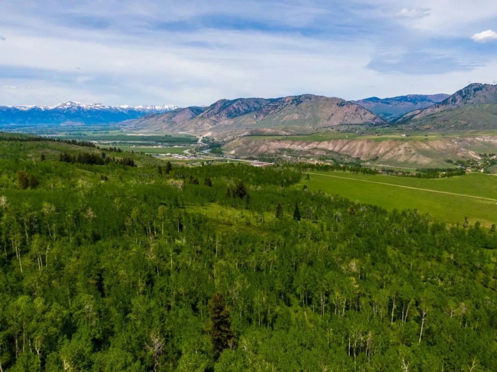 Ross Plateau featured image