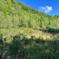 Pocono Area Gem images 2