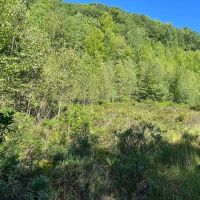 Pocono Area Gem images 3