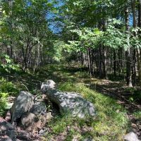 Pocono Area Gem images 5